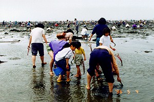 みんなで潮干狩り