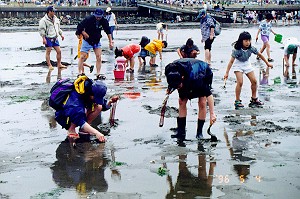 みんなで潮干狩り