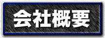 ЊTv